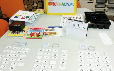 Lesekurs im Wunderwuzzi